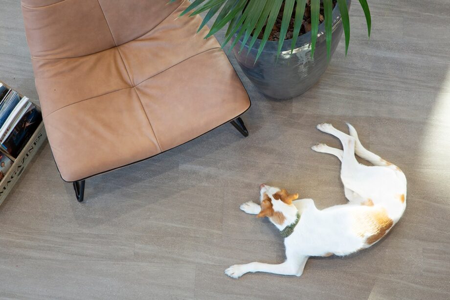 Designbeläge - Vinylboden Emmen Schmaldiele